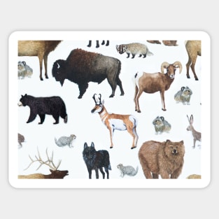 Mammals of Yellowstone National Park Sticker